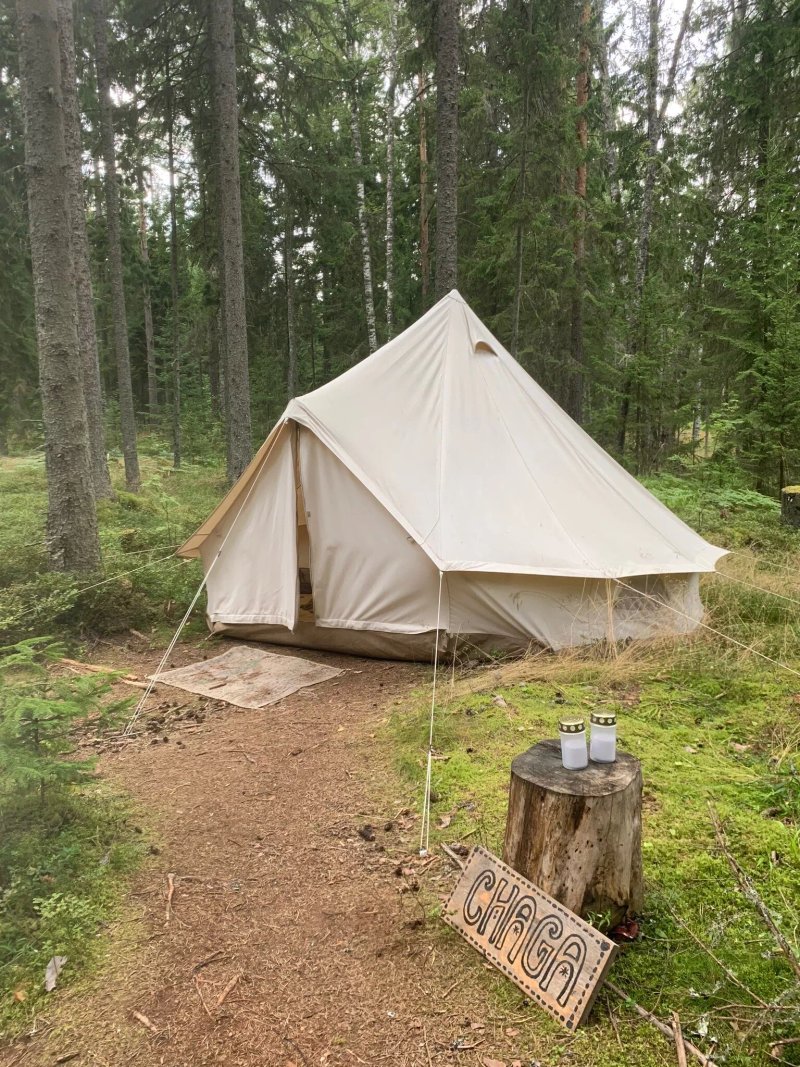 Projekt-Kodu Retreat & Eco-Hostel