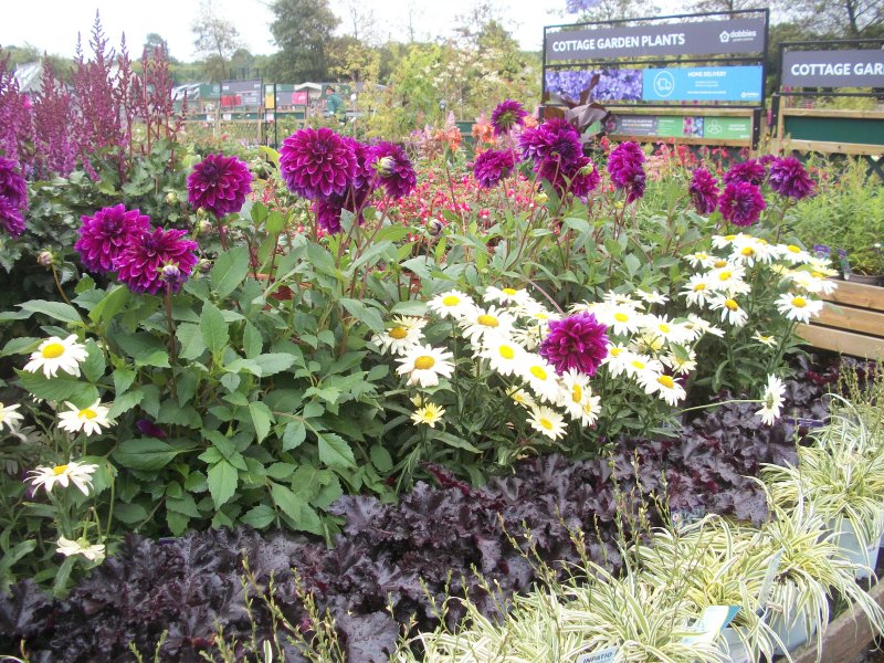 Dobbies Garden Centre Chesterfield