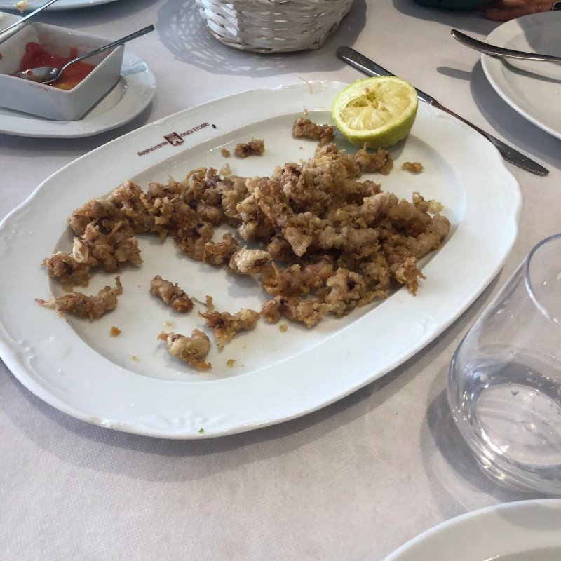 Ongi Etorri Manolo 1 Benidorm