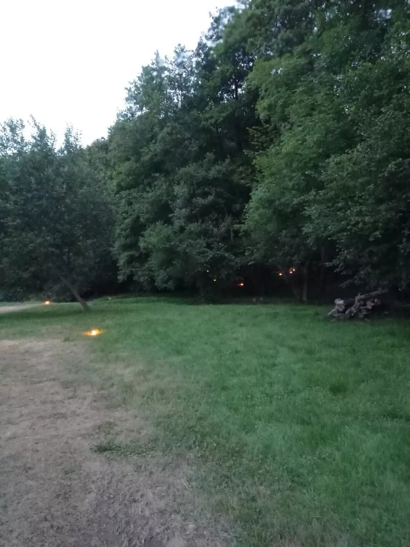 Future Is Nature - Playground