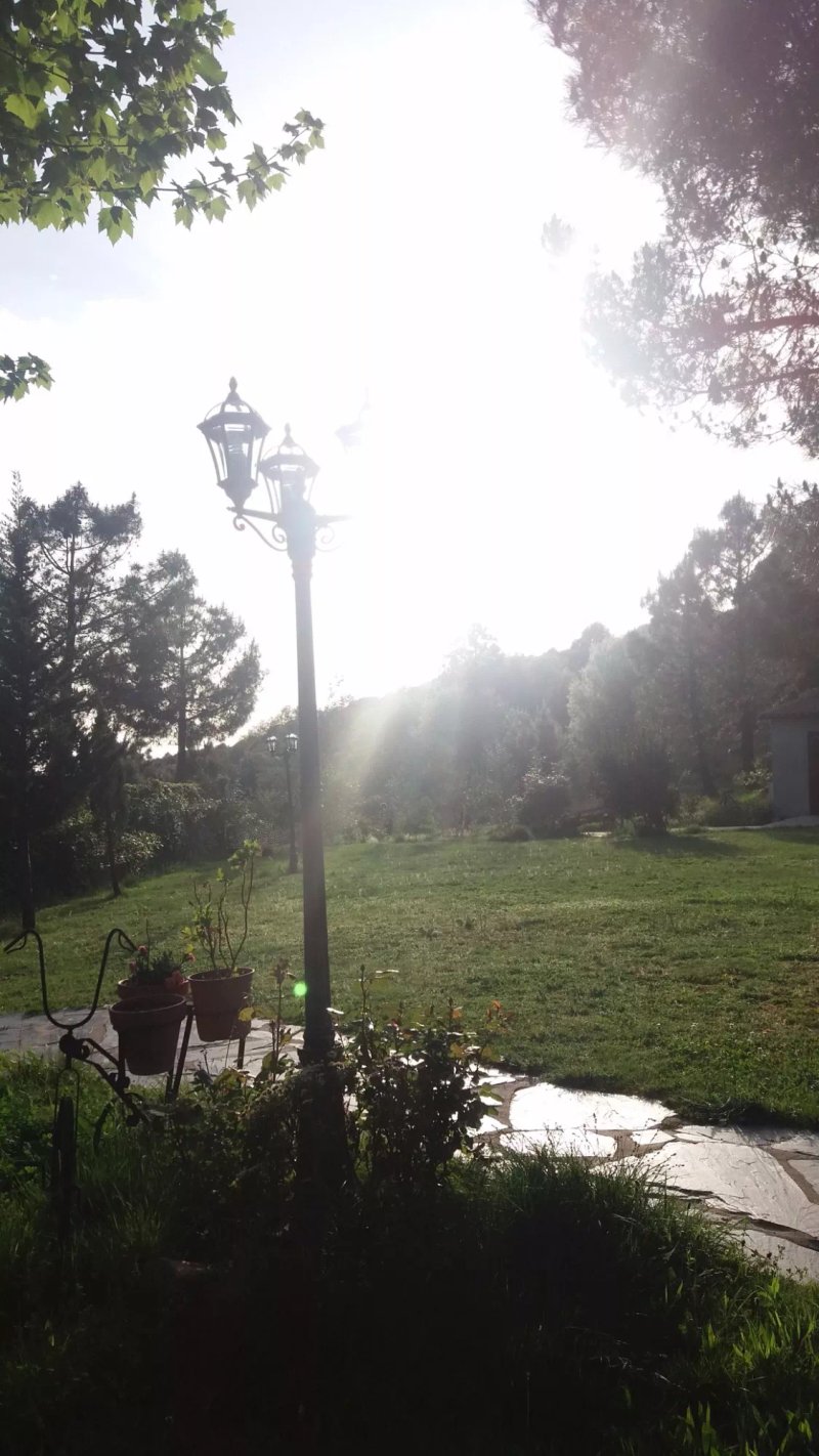 Hotel Rural El Bosque De La Herrezuela