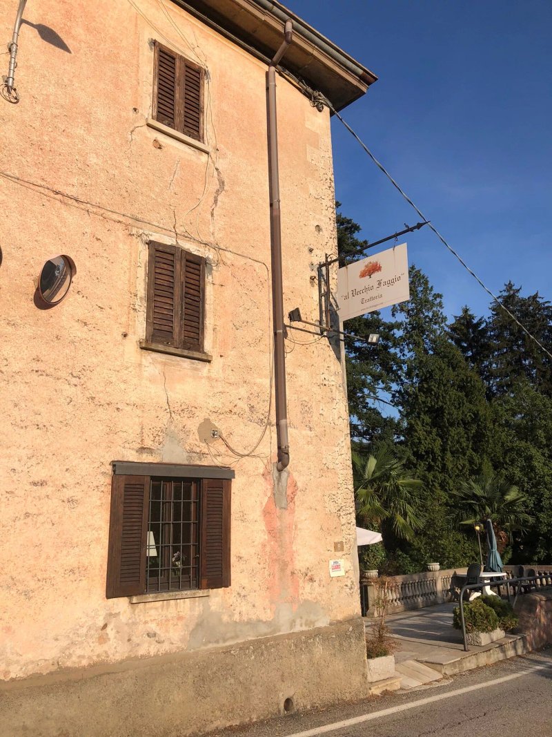 Trattoria al vecchio faggio