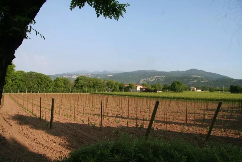 Ristorante Borgo alla Quercia