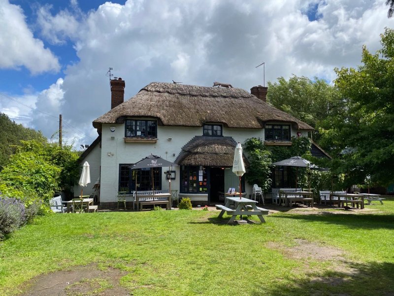 The Ginger Fox