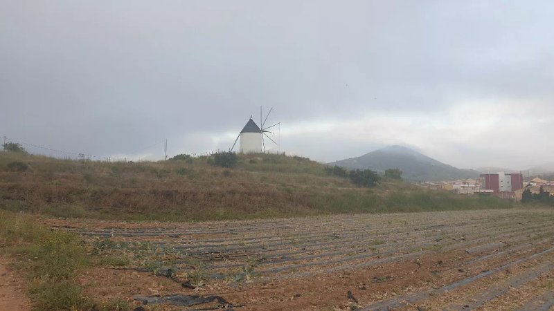 Molino del Tio Paco del Garabito