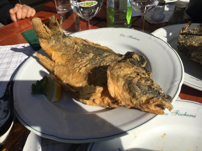Die Fischerei