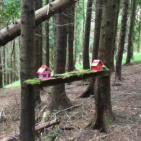 Glenbeigh Fairy Forest