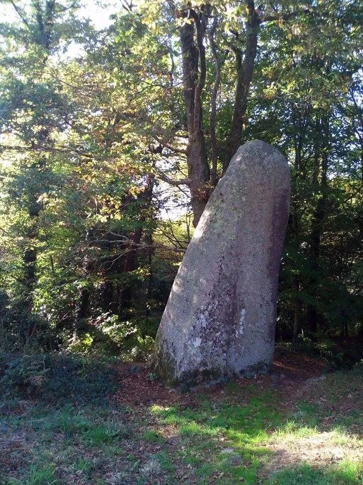 Manoir de Kerangosker