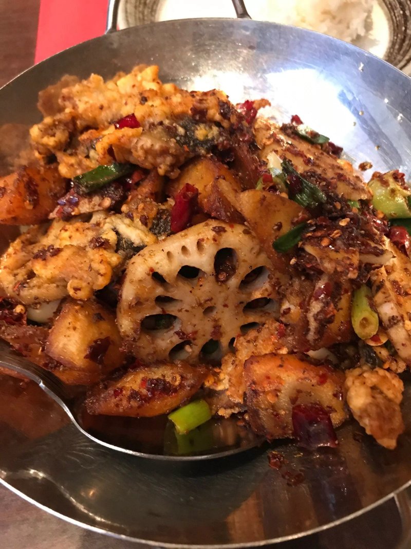 The Sichuan