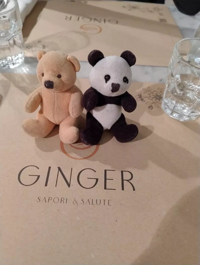 Ginger - Spagna