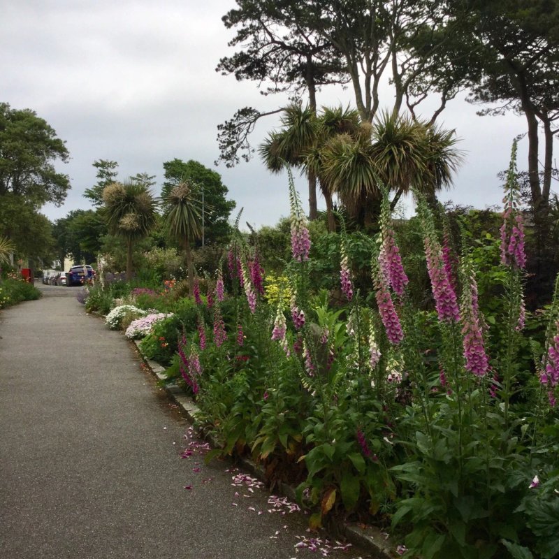Princess Pavilion and Gyllyngdune Gardens