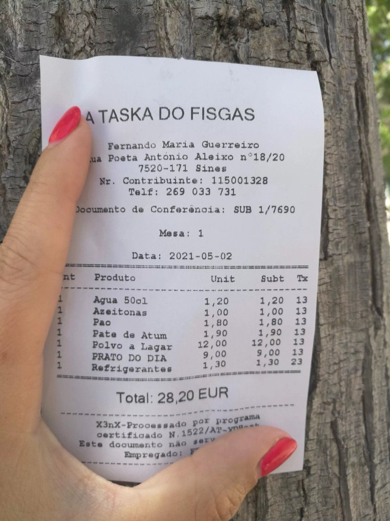A Taska do Fisgas