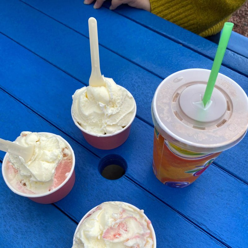Drummuir Farm Ice Cream