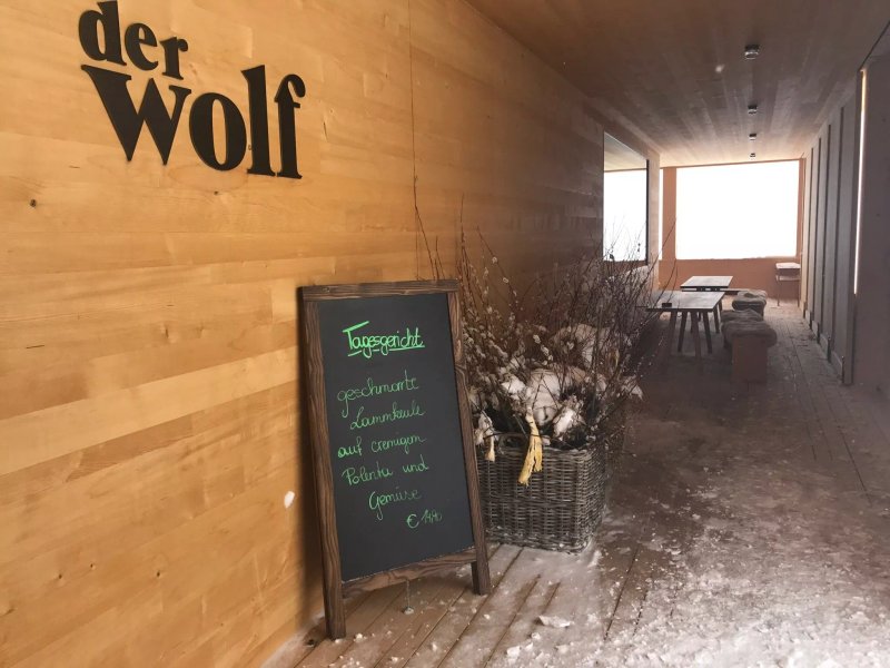 Der Wolf