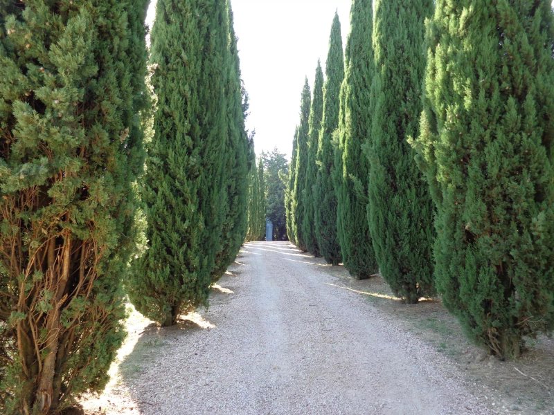 Il Grotto