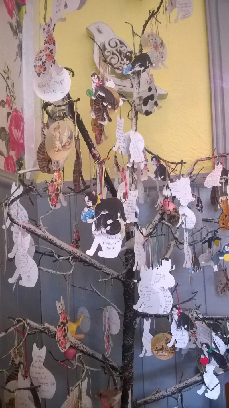 The Wish Cat Cafe