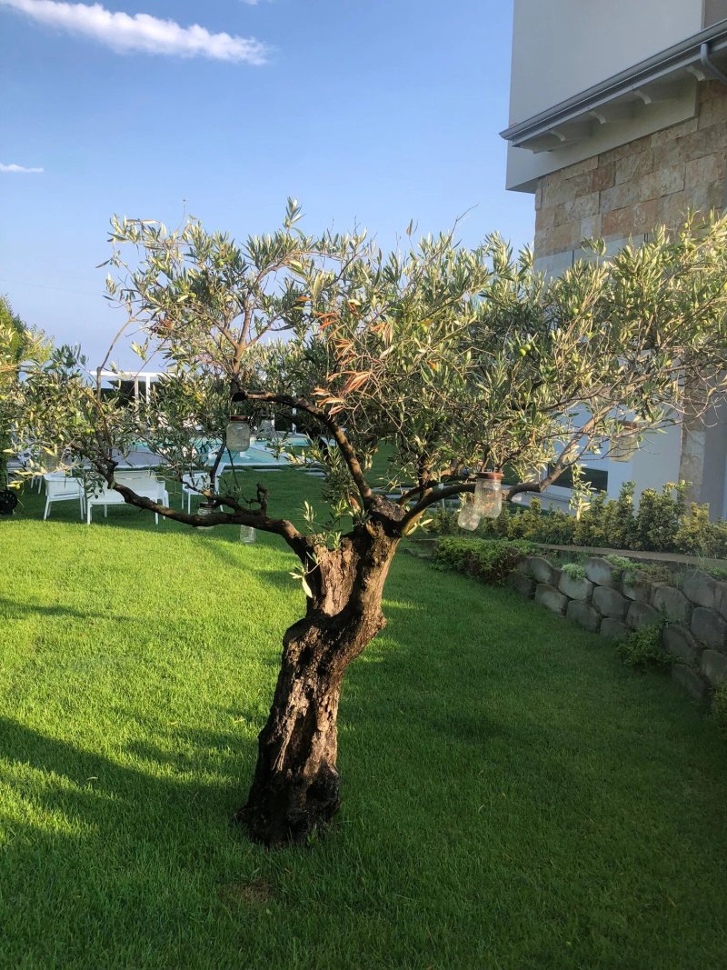Villa Rocca Rooms & Spa