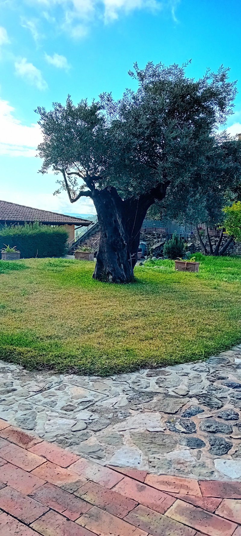 Resort Villa Maria