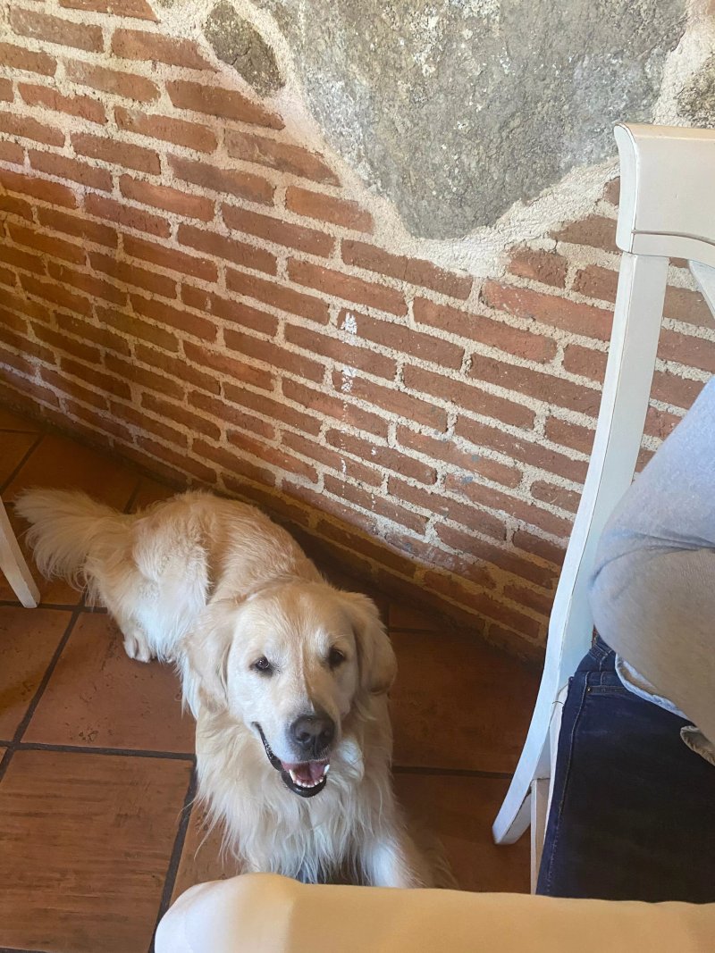 Restaurante La Posada de la Gatera