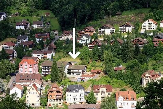 Schwarzwald Panorama