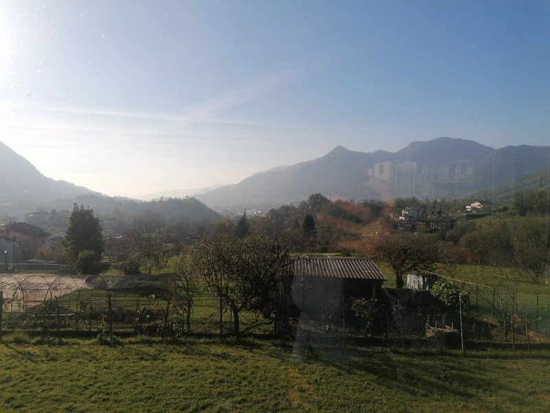 Vista Falo Bistro
