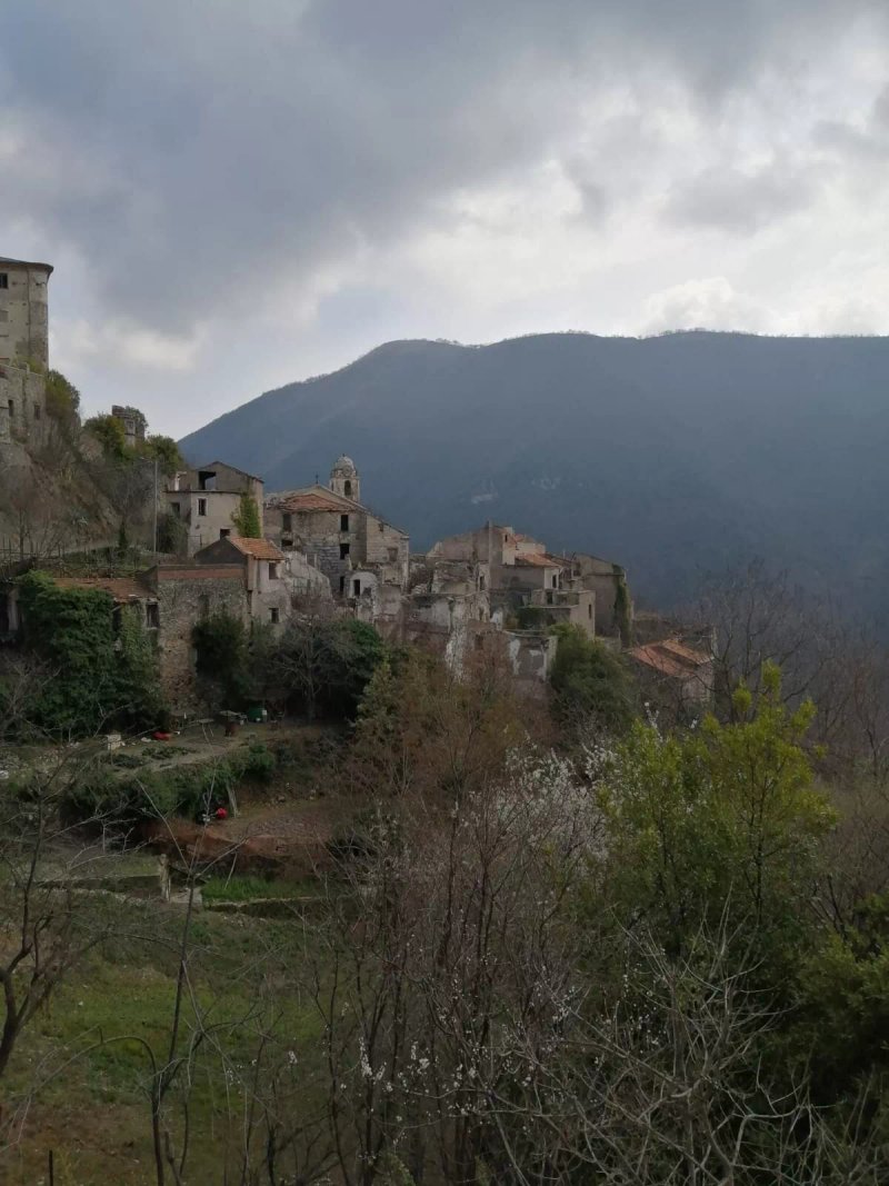 Ristorante  Da Cecchin