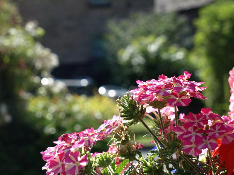 The Red Lion Matlock B&B