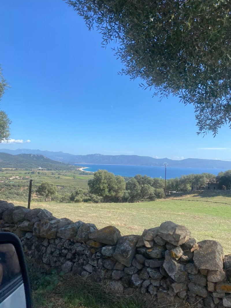 Paillote Capo DI Feno