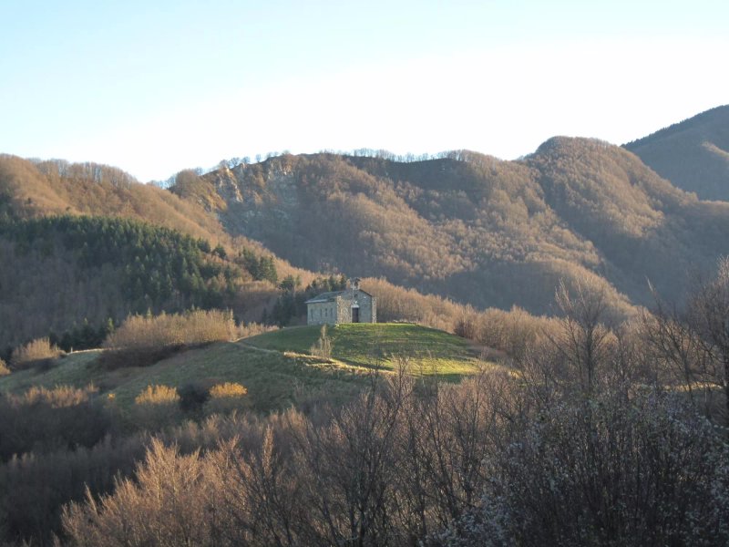 Azienda Agrituristica “All’Antica Dogana”