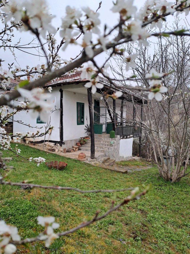 Country Tourism In Bulgaria