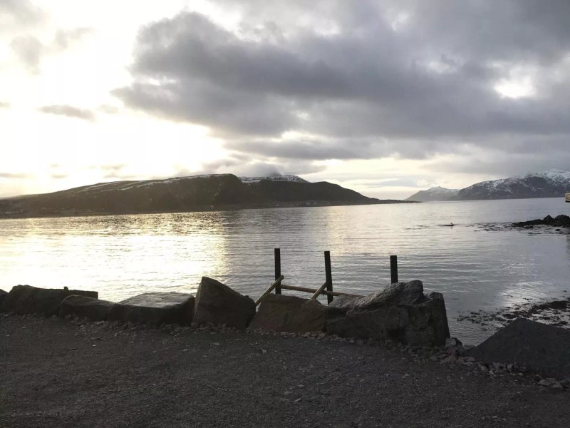Lofoten Havfiske & Rorbuopplevelser