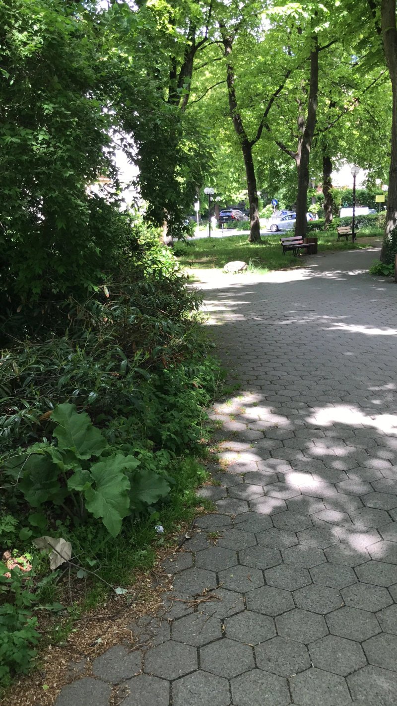 Park Dammwaldchen