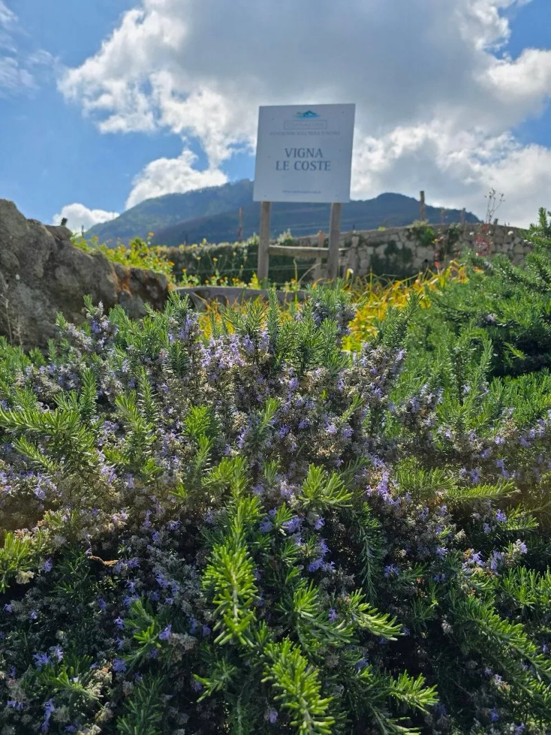 La Pietra Di Tommasone