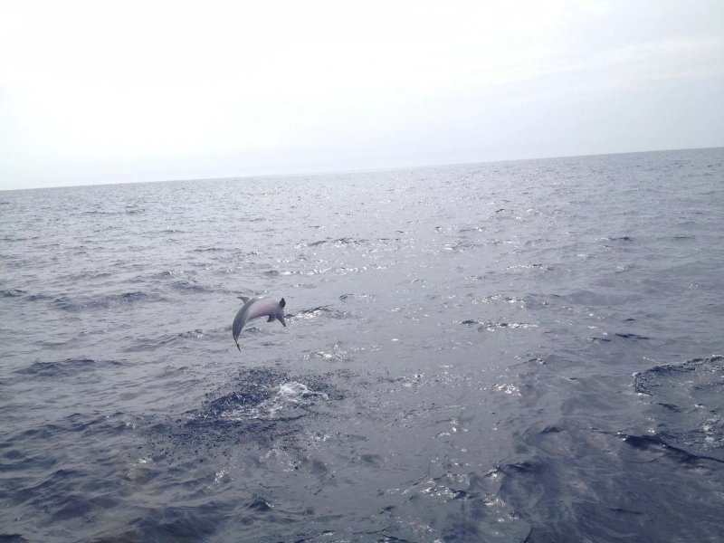 Spirit Of The Sea