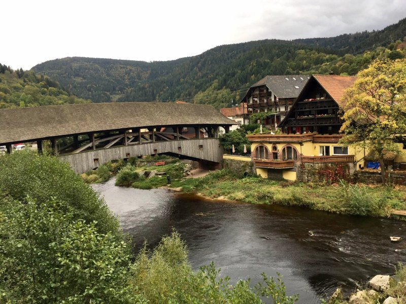 Das Waldhaus