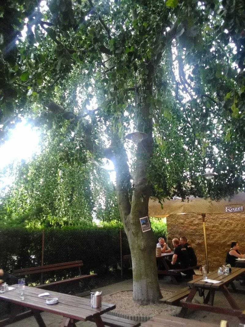 RESTAURACE U GOLEMA