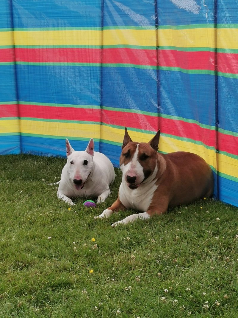 Keltie Bridge Caravan Park