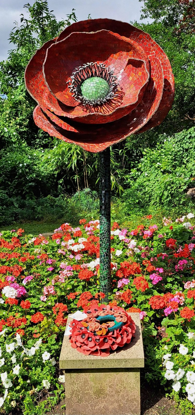 Remembrance Poppy