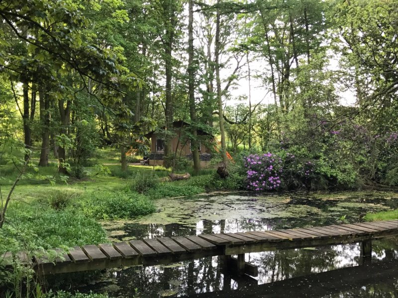 A Place In The PInes