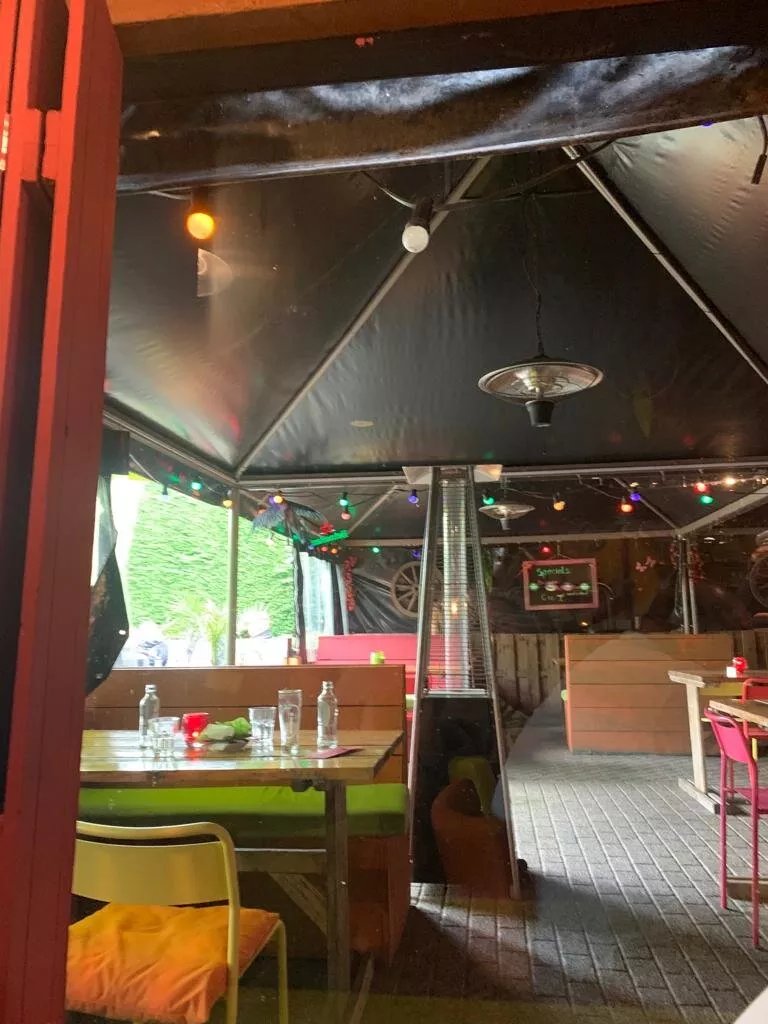 The green parrot