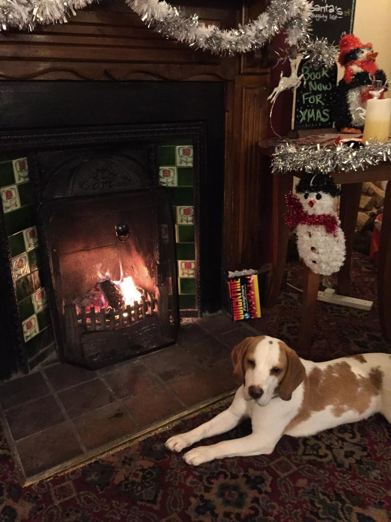 The Old Waggon & Horses