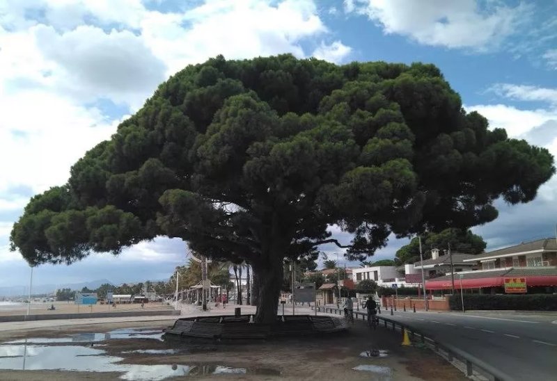 Restaurant del Mar