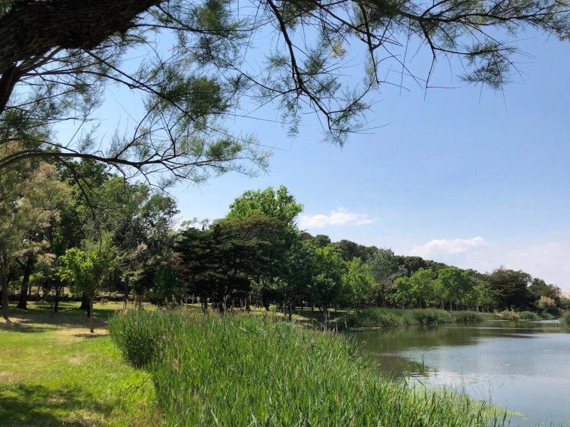 Camping Lacus