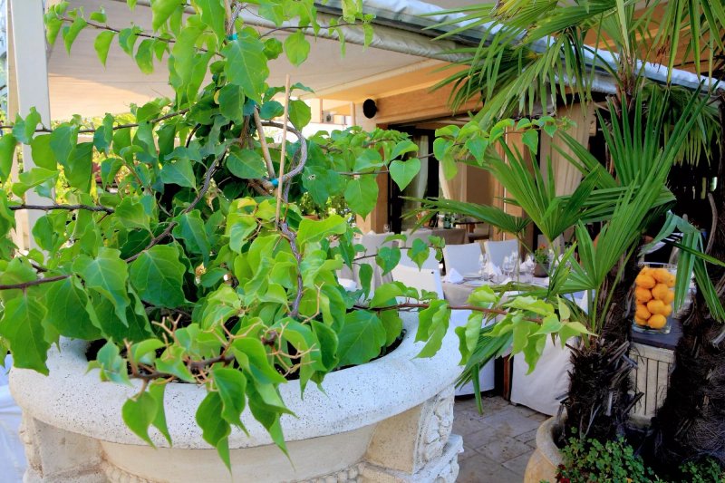 Park Hotel Sandanski