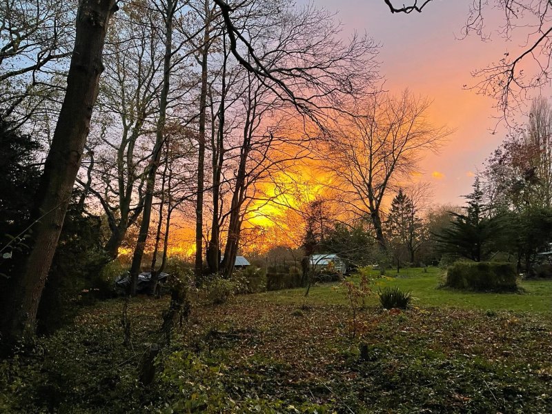 The Holt Bed and Breakfast