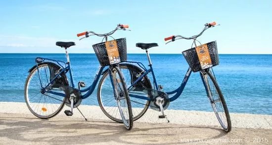 Blue Bike Rental & Tours