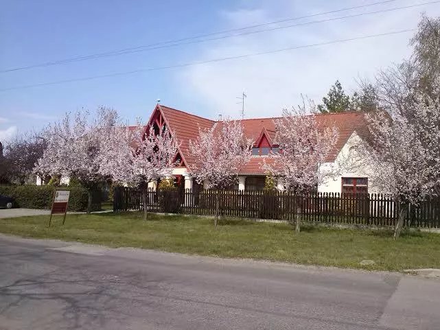 Juniperus Park Hotel