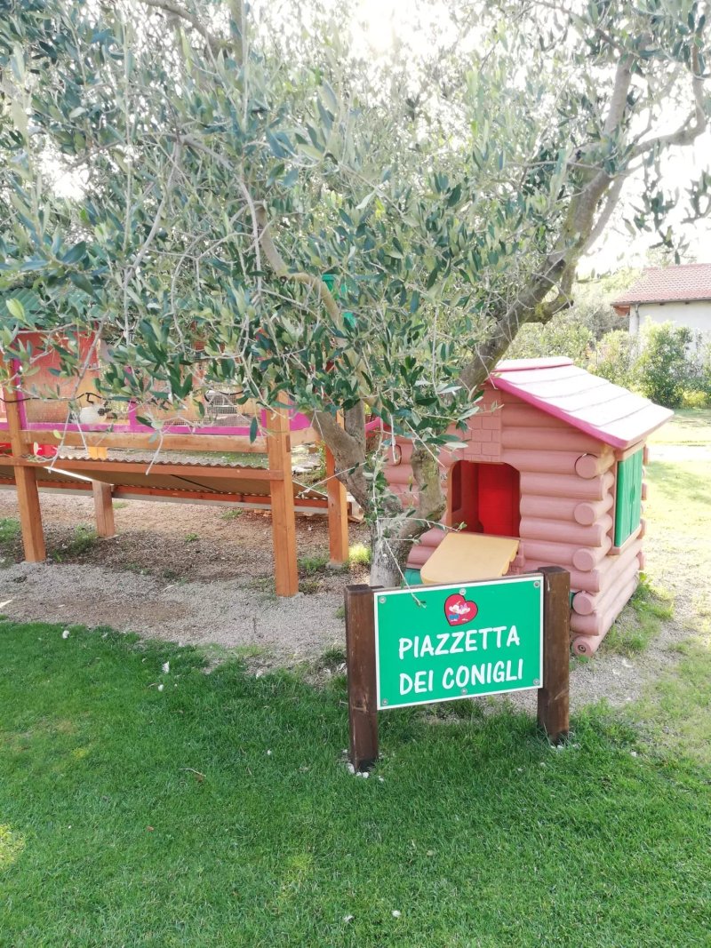 L'ALLEGRA FATTORIA