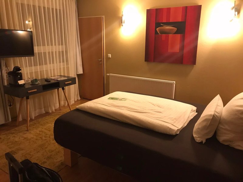 Hildebrandts Das grune Stadthotel