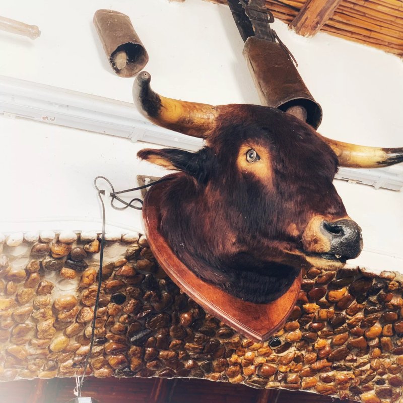 Restaurante Alentejo